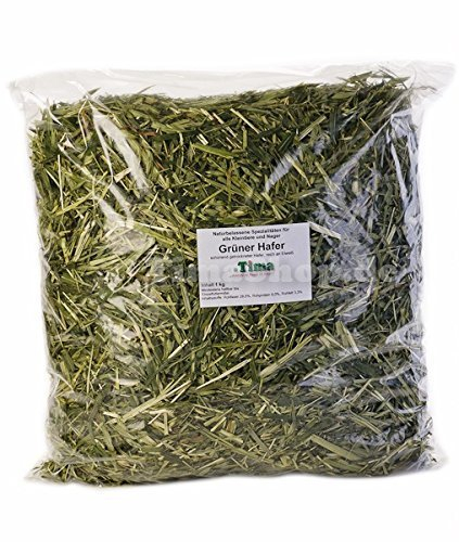Tima Grüner Hafer 1 kg Vorteilspack für Nager und Kleintiere