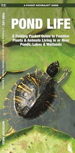 Pond Life: A Folding Pocket Guide to Familiar Plants & Animals Living in or Near Ponds, Lakes & Wetlands (A Pocket Naturalist Guide) (Wildlife and Nature Identification)