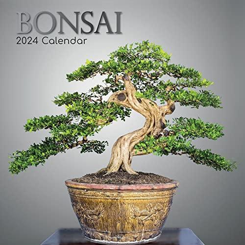 Bonsai 2024 – 16-Monatskalender: Original The Gifted Stationery Co. Ltd [Mehrsprachig] [Kalender] (Wall-Kalender)
