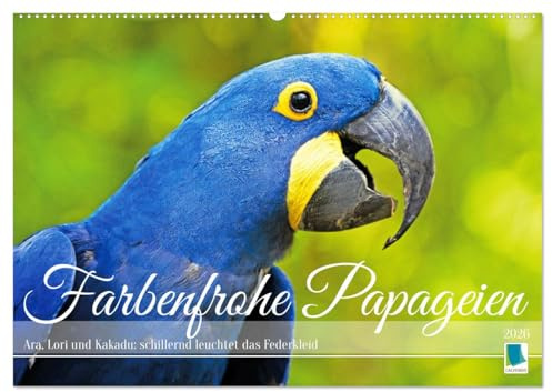 Farbenfrohe Papageien (Wandkalender 2026 DIN A2 quer), CALVENDO Monatskalender: Ara, Lori und Kakadu: schillernd leuchtet das Federkleid (CALVENDO Tiere)