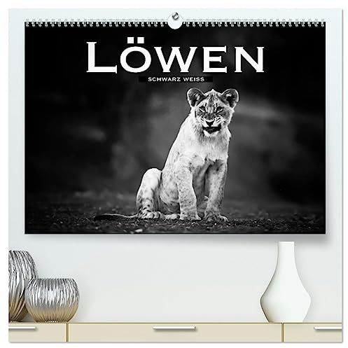 Löwen schwarz weiß (hochwertiger Premium Wandkalender 2026 DIN A2 quer), Kunstdruck in Hochglanz: Faszinierende Bilder dieser eindrucksvollen Raubtiere in schwarz weiß (CALVENDO Tiere)