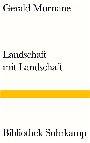 Landschaft mit Landschaft (Bibliothek Suhrkamp)