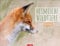 Heimische Wildtiere Kalender 2025: Von Igel bis Wildschein: Naturkalender im Großformat mit heimischen Tieren. Posterkalender für Tierfreunde. ... Wandkalender. (Tierkalender Weingarten)