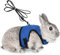 Verstellbares Weiches Kaninchen Geschirr mit Elastischer Leine für Kleines Tier Kitty Haustier Geschirr und Leine für Häschen Katze Little S(Brust 27,5-33cm), Blau