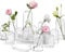 ZENS Kleine Vasen Set 12er, Vintage Zylinder Deko Glasvasen für Tischdeko Hochzeit Party, Handgeblasen Glas Blumenvasen für Heimdekoration Mittelstücke