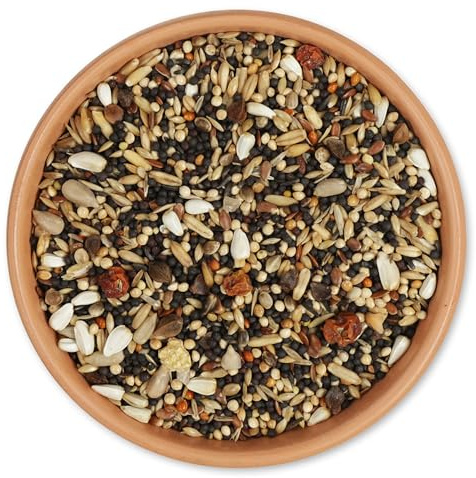 CJ Wildlife Vogelfutter Wildvögel für Sommer 2kg – Wildvogelfutter – 100% Natürlich ohne Zusatzstoffe – Proteinreich mit Mind. 15% Eiweiß – Sommerfutter für warme Temperaturen