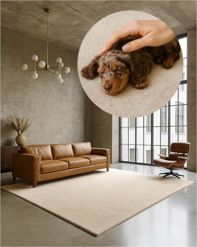 TEXMAXX Weicher Kurzflor Teppich Wohnzimmer mit rutschhemmender Rückseite | 140 x 200 cm - Modern für Flur, Esszimmer und als Schlafzimmer Teppich in Beige - Waschbar bis 30 Grad