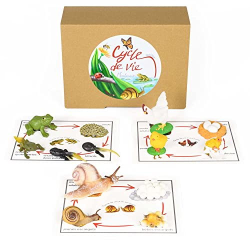 Pacha ECHECS® – Lebenszyklus-Spiel für Tiere – Montessori Lernmaterial für die Entwicklung | Lernwerkzeug | Realistische Figuren | Wachstumssimulation | Anatomie | Biologie