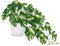 Hollyone Artificial Plants in Ceramic Pots, Fake Monstera Plant Decorative Faux Potted Plants, Realistic House Plant Indoor for Home Décor, Bathroom, Living Room, Kitchen, Shelf, Office Decorations