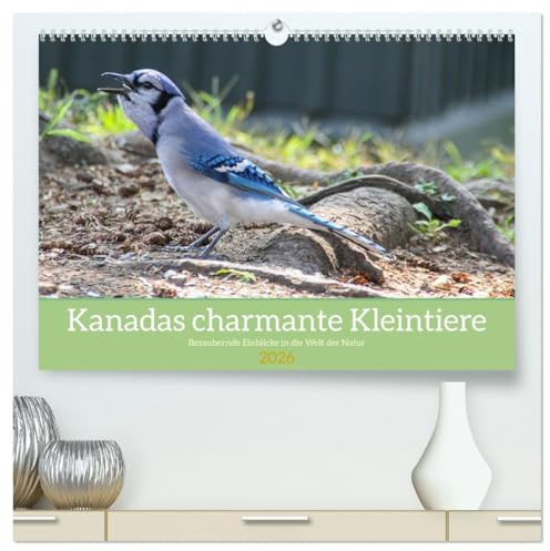 Kanadas charmante Kleintiere - Bezaubernde Einblicke in die Natur (hochwertiger Premium Wandkalender 2026 DIN A2 quer), Kunstdruck in Hochglanz: ... die Welt der kleinen Tiere. (CALVENDO Tiere)