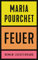 Feuer: Roman - Der Bestseller aus Frankreich -