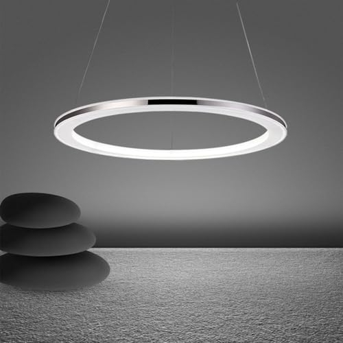 LED Pendelleuchte Kronleuchter Ring Wohnzimmer Esstischlampe Dimmbar Fernbedienung Moderne Hängeleuchte Deckenleuchte Schlafzimmer Pendellampe Silber Edelstahl Höhenverstehbar,12W,Φ30cm