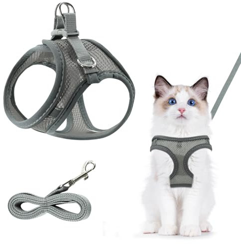 Atmungsaktives Katzen Geschirr - Verstellbar mit Leine und Ausbruchsicher, Reflektierend im Freien (XXS, Katze, Grau)
