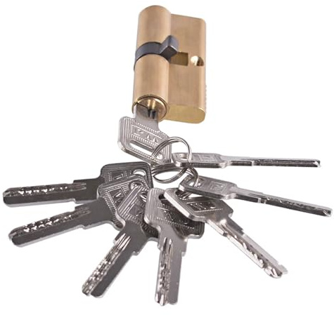 Serrure à cylindre à profil européen, 65 mm, avec 8 clés, en laiton satiné, 1 pièce(Single cylinder)