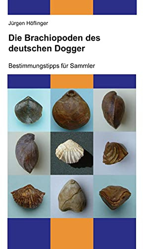Die Brachiopoden des deutschen Dogger: Bestimmungstipps für Sammler