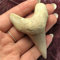 ABCBCA 1 stücke Riesige schöne Megalodon Zahn Fossile Zähne (Color : Shark Teeth)