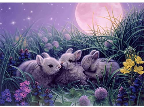 AIRDEA DIY Hase Diamond Painting Set Erwachsene, Mond Diamant Painting Bilder 5D Blume Diamant-Kunst Kits Kinder Tier Diamant Malerei Set Cross Stickerei Malen Nach Zahlen Kits für Heimdekor 30x40cm