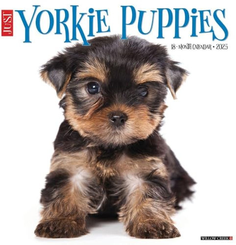 Yorkie Puppies 2026 12 X 12 Wall Calendar