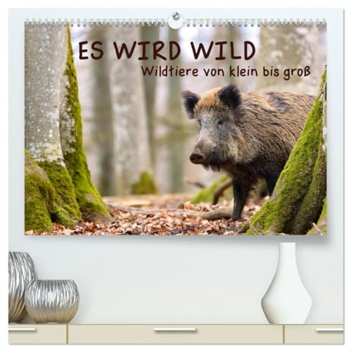 ES WIRD WILD Wildtiere von klein bis groß (hochwertiger Premium Wandkalender 2026 DIN A2 quer), Kunstdruck in Hochglanz: Begegnungen mit Wildtieren in ... fotografisch festgehalten. (CALVENDO Tiere)