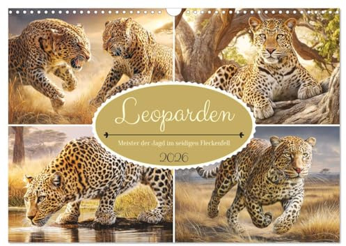 Leoparden. Meister der Jagd im seidigen Fleckenfell (Wandkalender 2026 DIN A3 quer), CALVENDO Monatskalender: Die anmutige Kraft und stille Wildheit ... in beeindruckenden Bildern (CALVENDO Tiere)