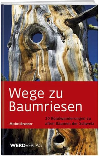 Wege zu Baumriesen: 20 Rundwanderungen zu alten Bäumen der Schweiz