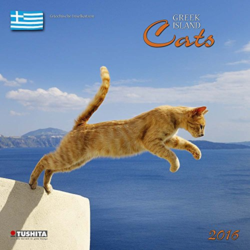 Greek Island Cats 2024: Kalender 2024 (Wonderful World)