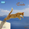 Greek Island Cats 2024: Kalender 2024 (Wonderful World)