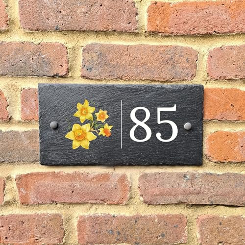 Bespoke Slate House Signs - Handmade Custom UK and Ireland Emblem Door Number Wall Plaque with Rustic Design - Includes Fixing kit - Ideal for Home, Office, Gate, Porch - 300 x 150mm (Wales)