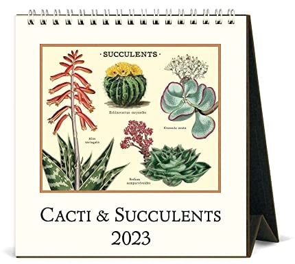Cavallini 2023 Desk Calendar, Vintage Succulents (CAL23-13)