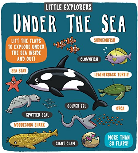 Little Explorers: Under the Sea