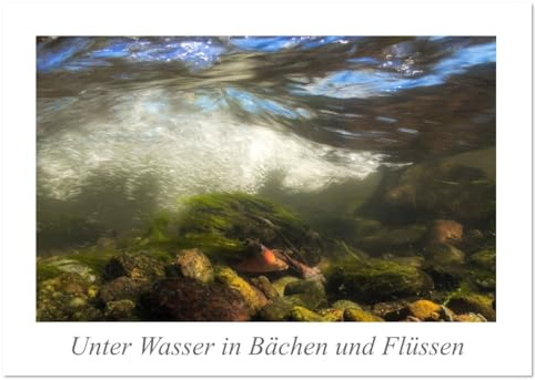 Unter Wasser in Bächen und Flüssen (Wandkalender 2026 DIN A4 quer), CALVENDO Monatskalender: Erleben Sie in 13 außergewöhnlichen Perspektiven die ... heimischer Bäche und Flüsse. (CALVENDO Natur)