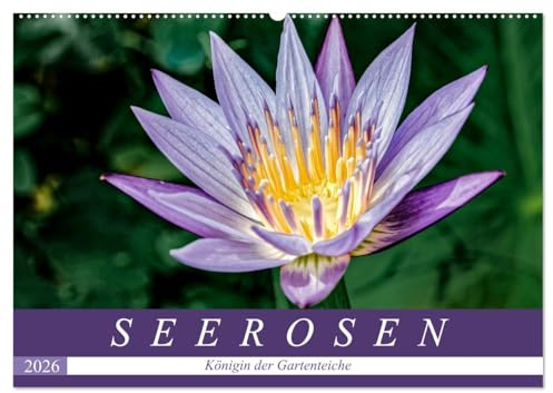 Seerosen - Königin der Gartenteiche (Wandkalender 2026 DIN A2 quer), CALVENDO Monatskalender: Seerosen: Zauberhafte Ansichten der schwimmenden Schönheiten. (CALVENDO Natur)