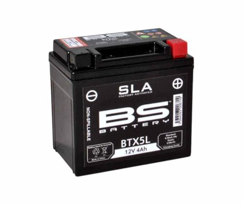 Compatible avec/Remplacement pour 125 TDR/TW/XV DRAGSTAR/DTX/YFM 90 RAPTOR-BATTERIE BS-BTX5L-SLA-321075
