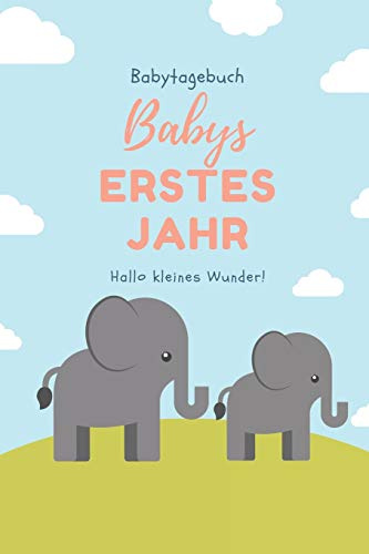 BABYTAGEBUCH BABYS ERSTES JAHR HALLO KLEINES WUNDER: A5 Notizbuch blanko als Geschenk zur Geburt | Geschenkidee für werdene Mütter zur Schwangerschaft | Baby-Tagebuch | Babyalbum | Babys erstes Jahr
