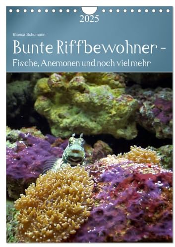 Bunte Riffbewohner - Fische, Anemonen und noch viel mehr (Wandkalender 2025 DIN A4 hoch), CALVENDO Monatskalender: Tropische Riffe bieten eine große Vielfalt an Lebewesen und Farben (CALVENDO Tiere)