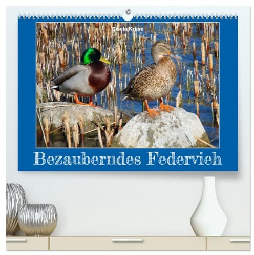 Bezauberndes Federvieh (hochwertiger Premium Wandkalender 2026 DIN A2 quer), Kunstdruck in Hochglanz: Gänse, Enten und Schwäne in Ihrem Element (CALVENDO Tiere)