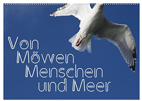 Von Möwen, Menschen und Meer (Wandkalender 2026 DIN A2 quer), CALVENDO Monatskalender: Der Mensch und die Möwe - eine immer wieder spannende Geschichte (CALVENDO Menschen)