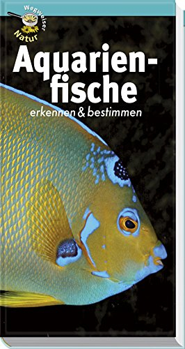 Aquarienfische erkennen & bestimmen: Wegweiser Natur