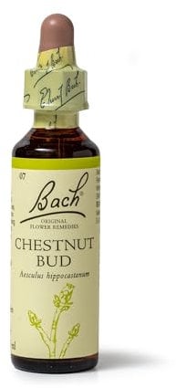 Bach Original Flower Remedies (Chestnut Bud) Live The Day, Learn From Mistakes, Emotional Wellness, Natural Flower Essence, 20ml