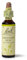 Bach Original Flower Remedies (Chestnut Bud) Live The Day, Learn From Mistakes, Emotional Wellness, Natural Flower Essence, 20ml