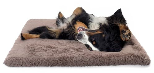 Paco Home Hundebett Katzenbett Flauschig Hundekissen Donut Hundedecke Hund Katze Hundekörbchen Katzenkorb Waschbar, Farbe:Beige, Größe:80x120 cm