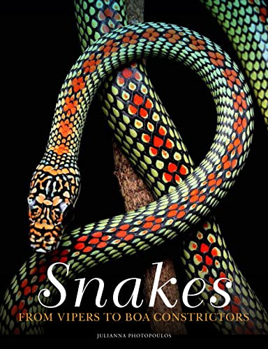 Snakes: From Vipers to Boa Constrictors (Animals in Photographs)