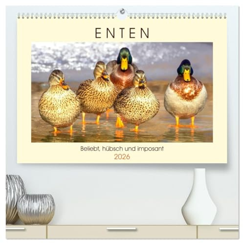 Enten. Beliebt, hübsch und imposant (hochwertiger Premium Wandkalender 2026 DIN A2 quer), Kunstdruck in Hochglanz: Die lustigen Watschler am Teich und See (CALVENDO Tiere)