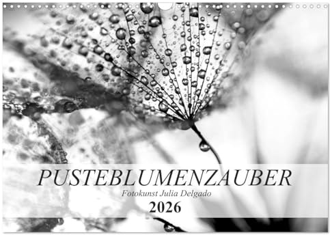 Pusteblumenzauber in schwarzweiß (Wandkalender 2026 DIN A3 quer), CALVENDO Monatskalender: Phantastische Nahaufnahmen von Pusteblumen (CALVENDO Natur)