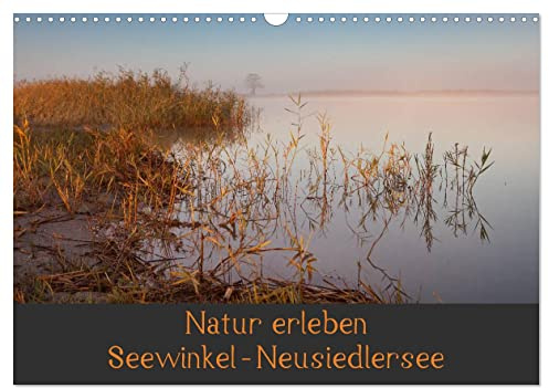 Natur erleben Seewinkel-Neusiedlersee (Wandkalender 2026 DIN A3 quer), CALVENDO Monatskalender: Naturkulisse Seewinkel im Burgenland, Österreich (CALVENDO Natur)