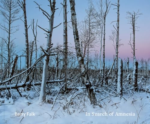 In Search of Amnesia: Jewish Narrative in Poland and Ukraine