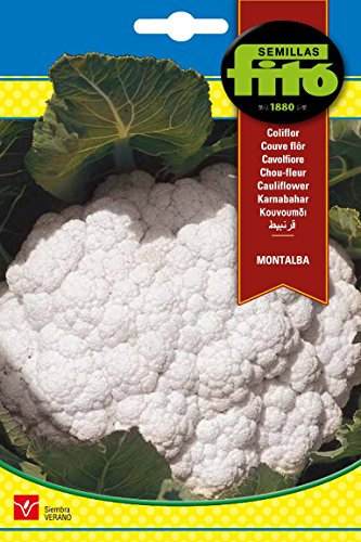Semillas Fitó 1236 - Semillas de Coliflor Montalba