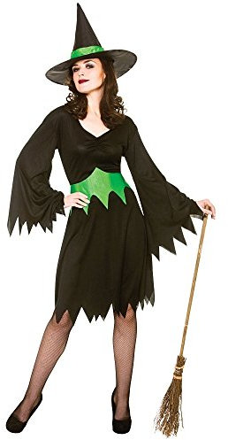 Adult Female Wicked Witch Halloween Fancy Dress (Women: One Size) Black, Green