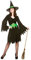 Adult Female Wicked Witch Halloween Fancy Dress (Women: One Size) Black, Green
