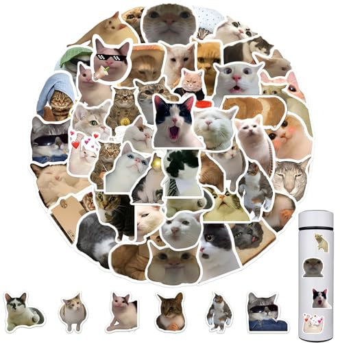 50 Stück Lustige Meme Sticker Set,Katzen Sticker,Katzen Meme Sticker,Laptop Sticker,Lustige Sticker,Wasserfester Vinyl-Aufkleber Tier für Skateboard,Laptop,Koffer,Helm,Motorrad,Fahrrad,Handy
